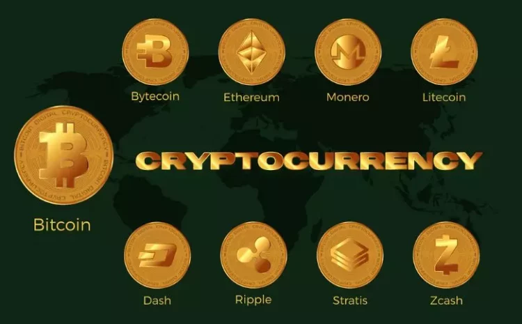  Bitcoin is again above $29, 000, and other tokens continue to rise