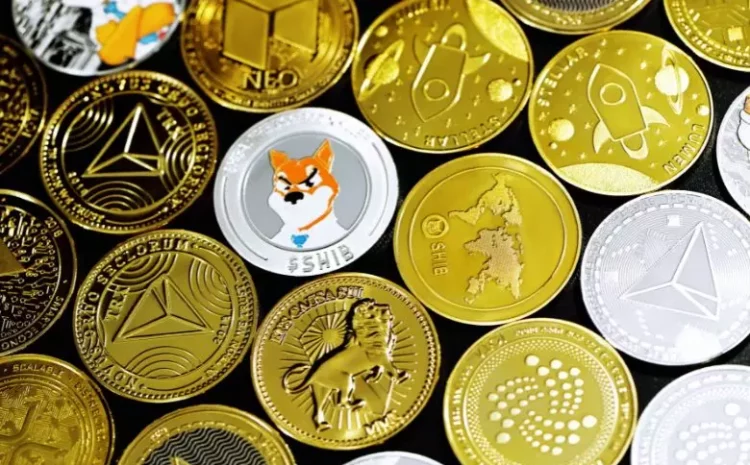  Ripple becomes the top gainer, as PEPE continues to fall