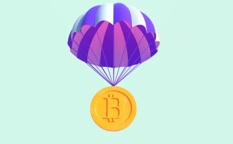  Cannation sees a 300% increase, but Bitcoin remains stable at $30,000