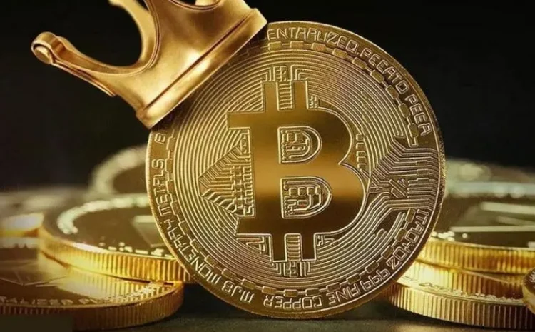  Crypto Week Ahead: Bitcoin Hits 26-Month High as ETF Frenzy Takes Hold, $50k on the Horizon