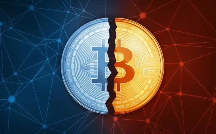  Cryptocurrency Price Today: Bitcoin Rises Above $44,000 For The First Time In A Month